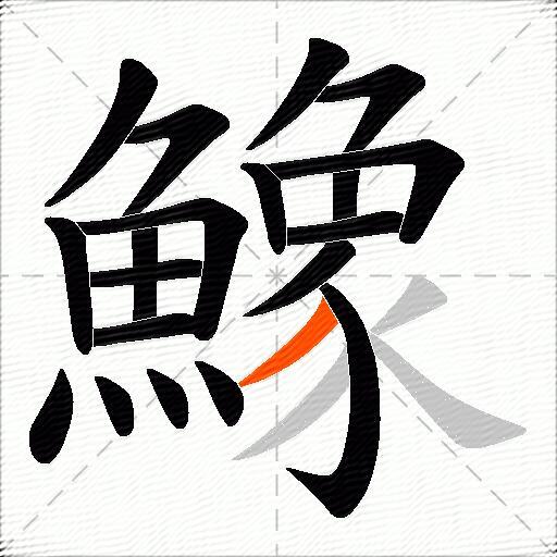 鱌
