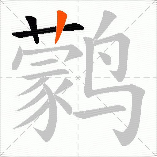 鹲
