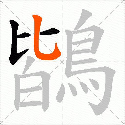 鶛