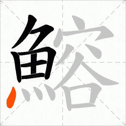 鰫