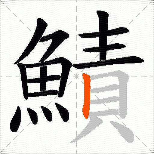 鰿