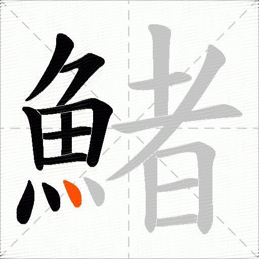 鯺