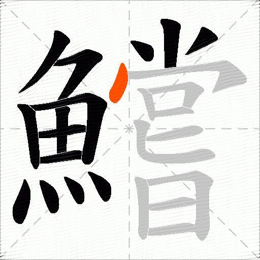 鱨