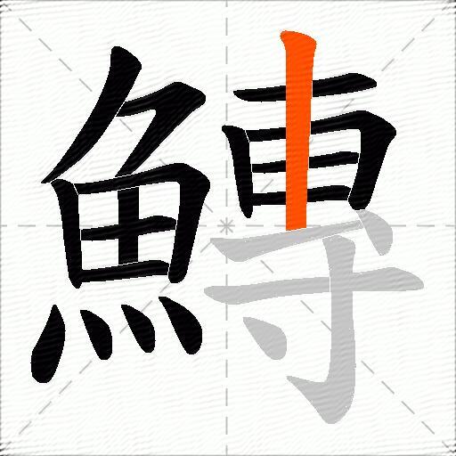 鱄