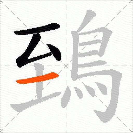 鵄