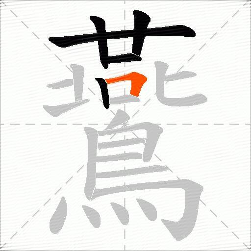 鷰