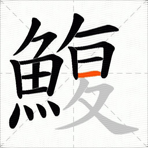 鰒