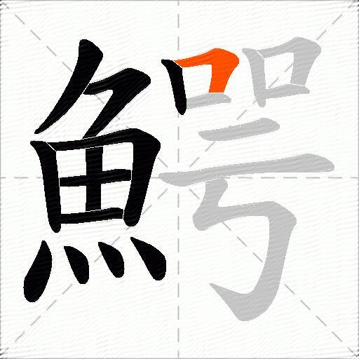 鰐