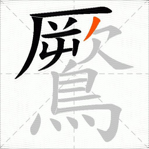 鷢