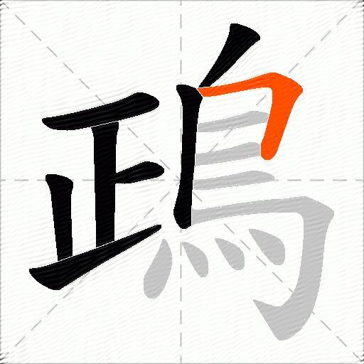 鴊