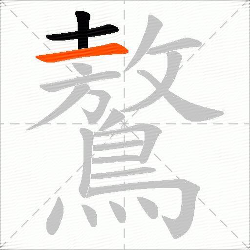 鷔