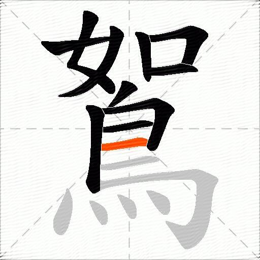 鴽