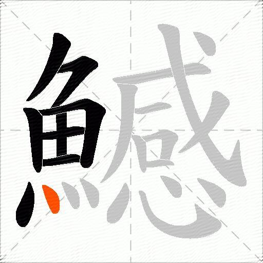 鱤