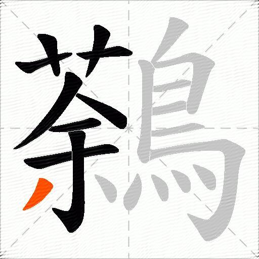 鷋