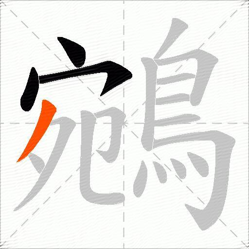 鵷