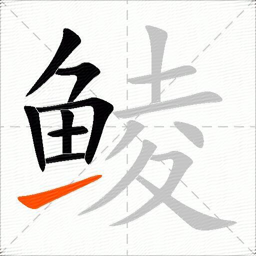 鲮