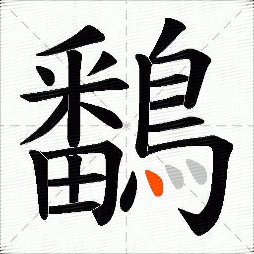 鷭
