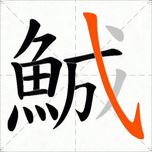鯎