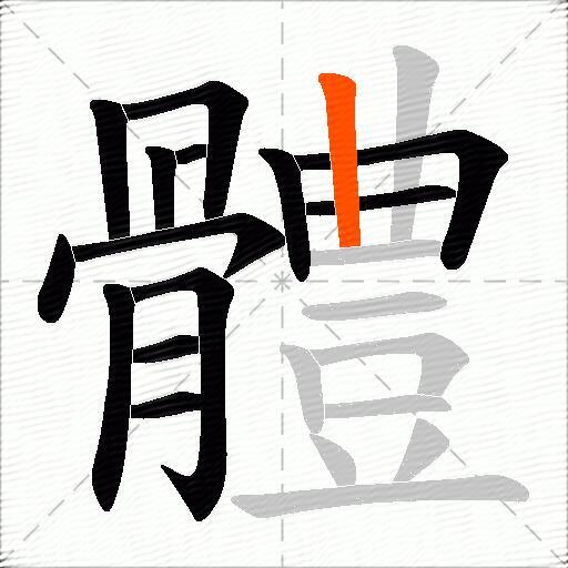 體