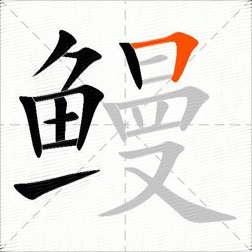 鳗
