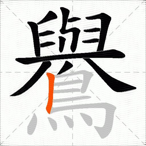 鸒