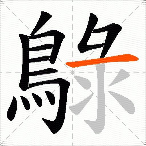 鵦