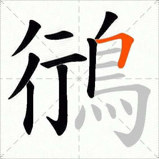 鴴