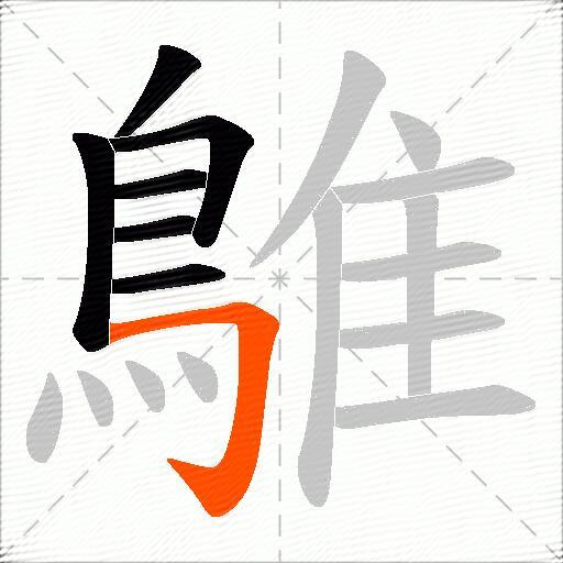 鵻