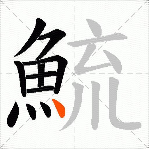 鯍