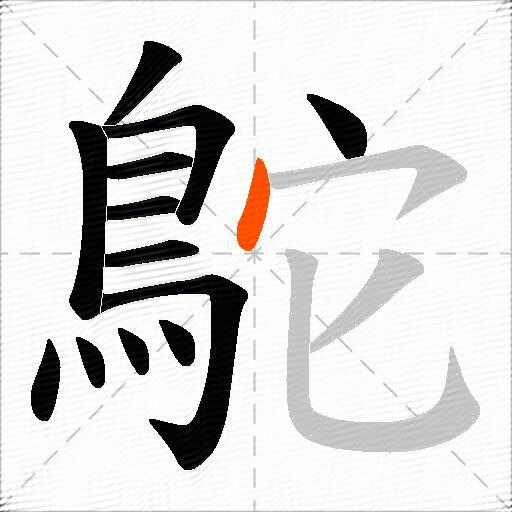 鴕