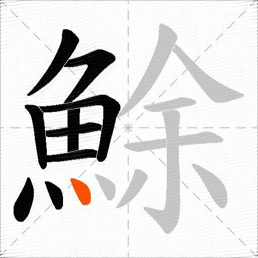鮽