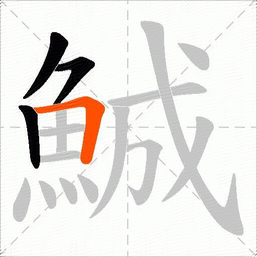 鯎