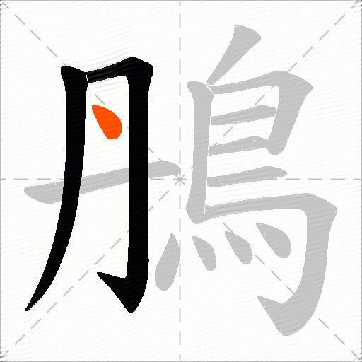 鴅
