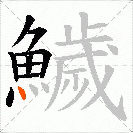 鱥