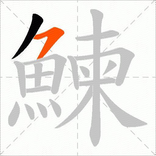 鰊