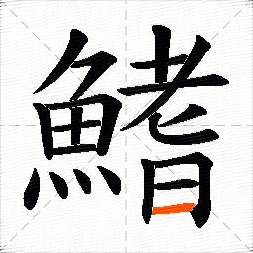 鰭