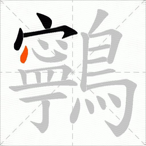 鸋