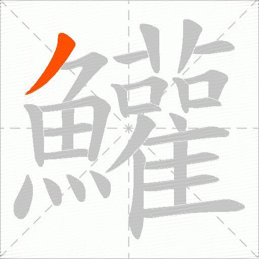 鱹