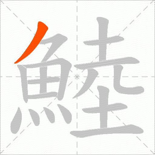 鯥
