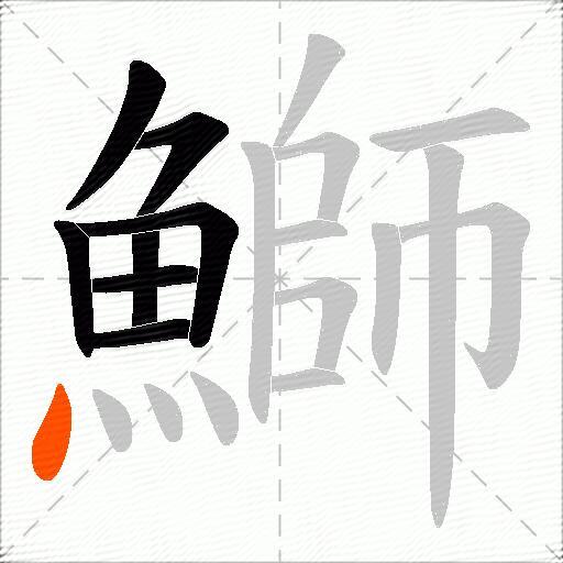 鰤