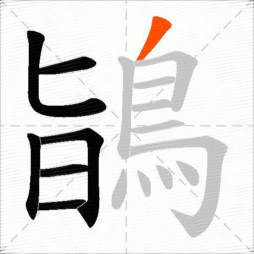 鴲