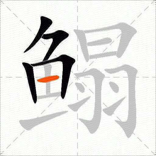鳎