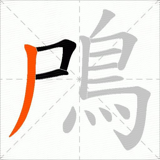 鳲