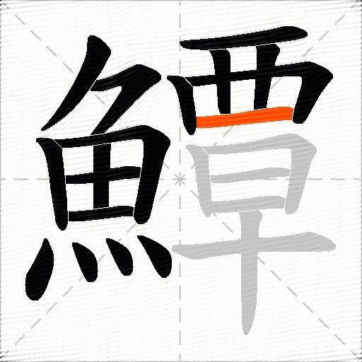 鱏