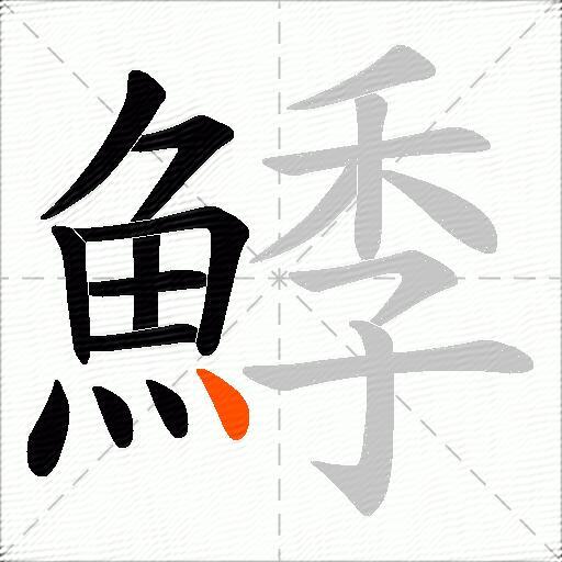 鯚