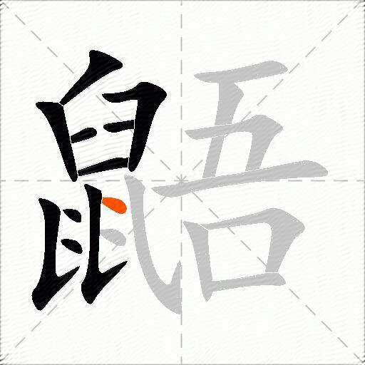 鼯