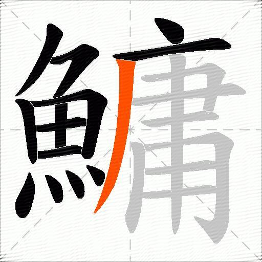 鱅