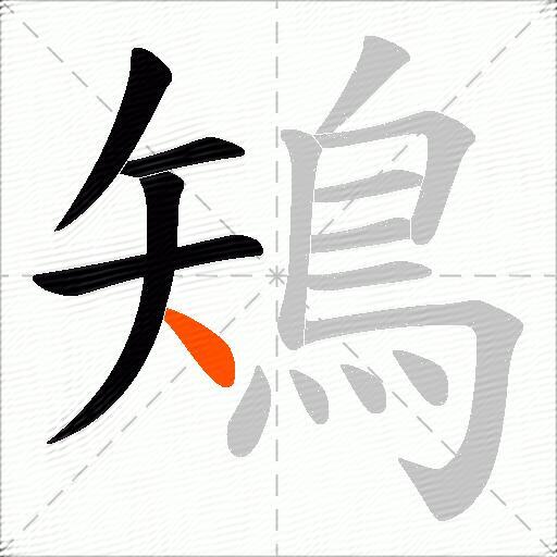 鴙