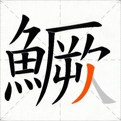 鱖