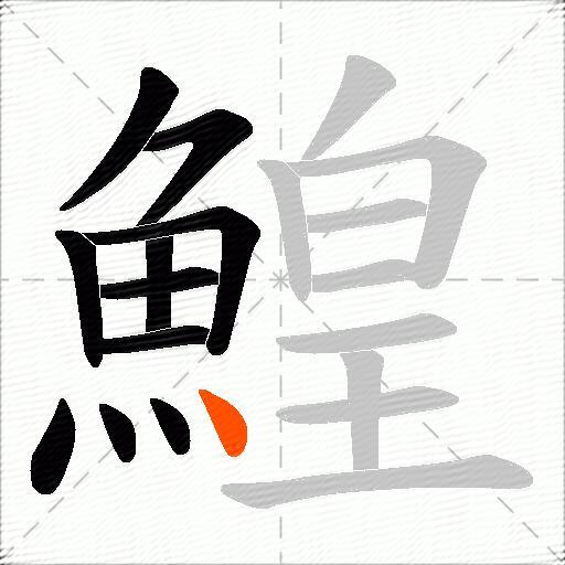 鰉